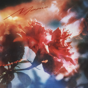 校花的两个奶头被揪得又红又
